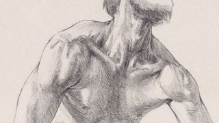 How to draw a neck and shoulders