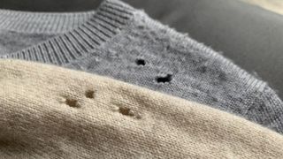 Holes in two sweaters caused by moths
