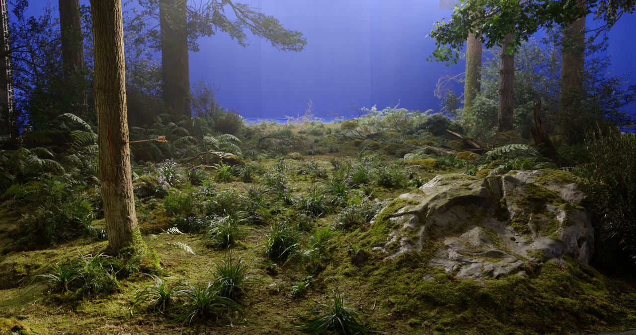 Making the VFX of Here; a forest scene, before and after