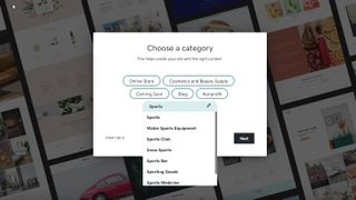 GoDaddy's category choice pop-up