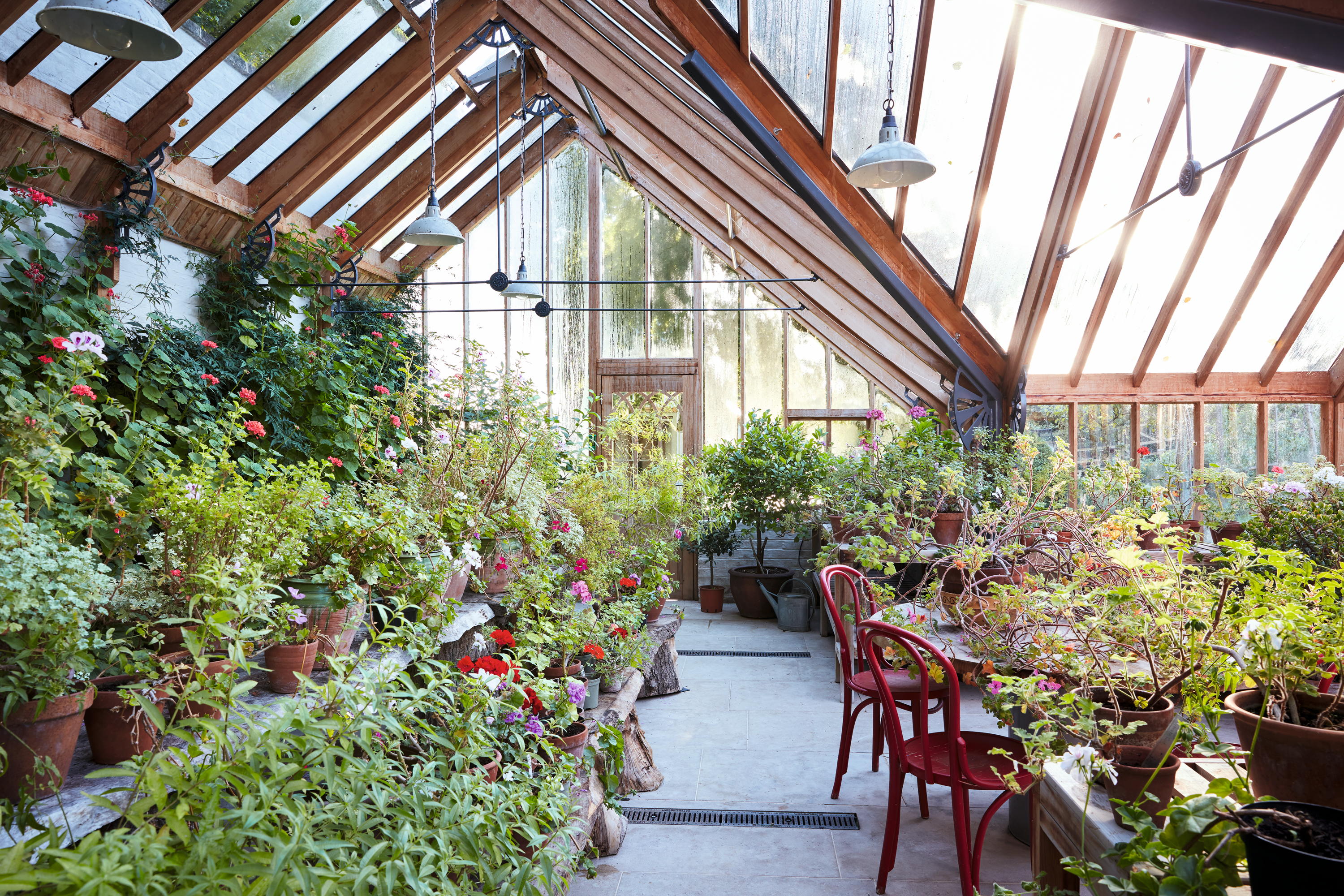 The garden at Salthrop Manor, Wiltshire