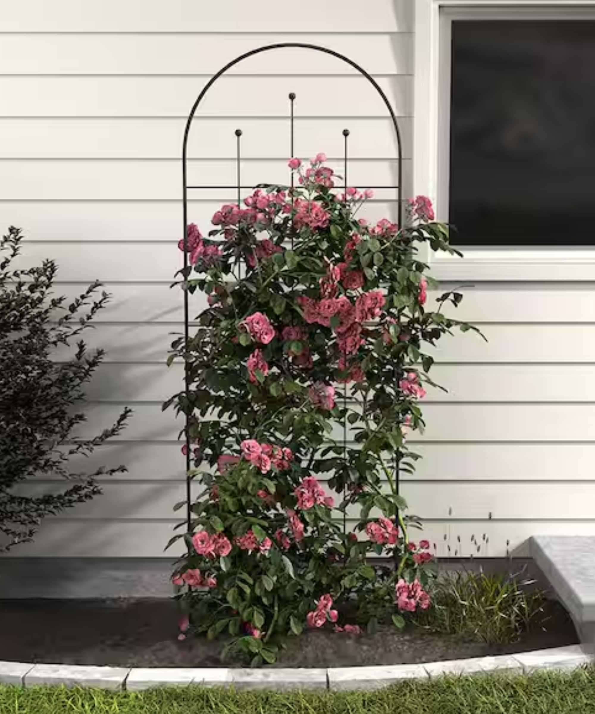 80 in. H Wisteria Black Metal Trellis by Vigoro