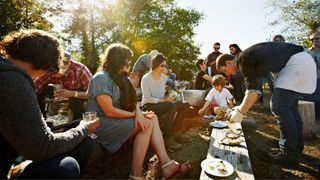 Group of people, all ages, having a picnic in a forest in the sunshine