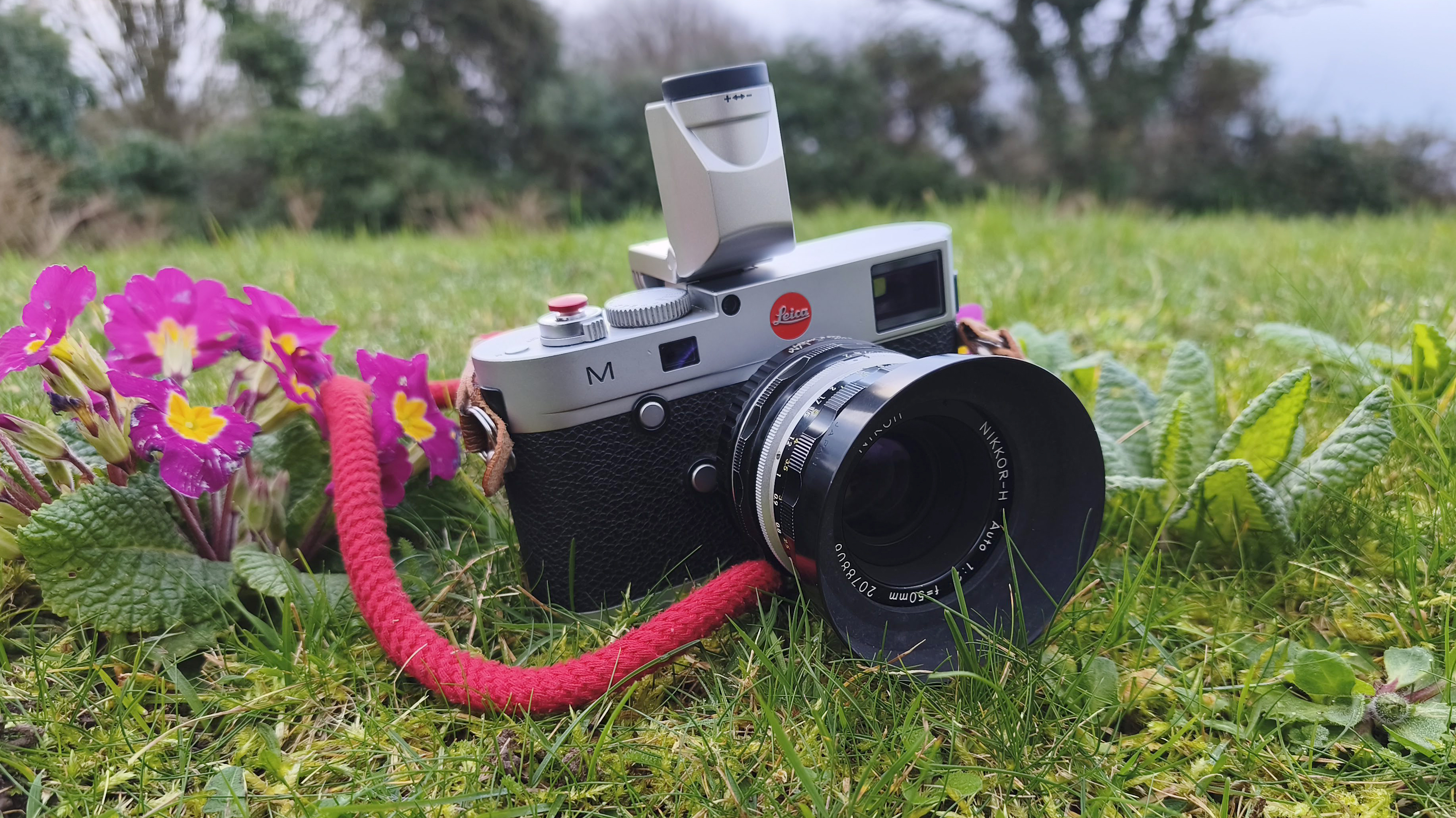 Leica M240 pictures with lens