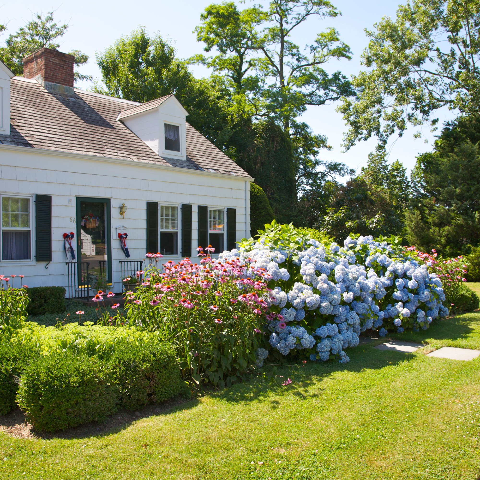 curb appeal plants in front of white house