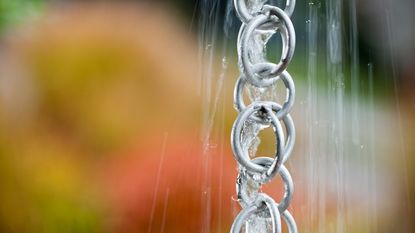 Silver round link rain chain in the rain