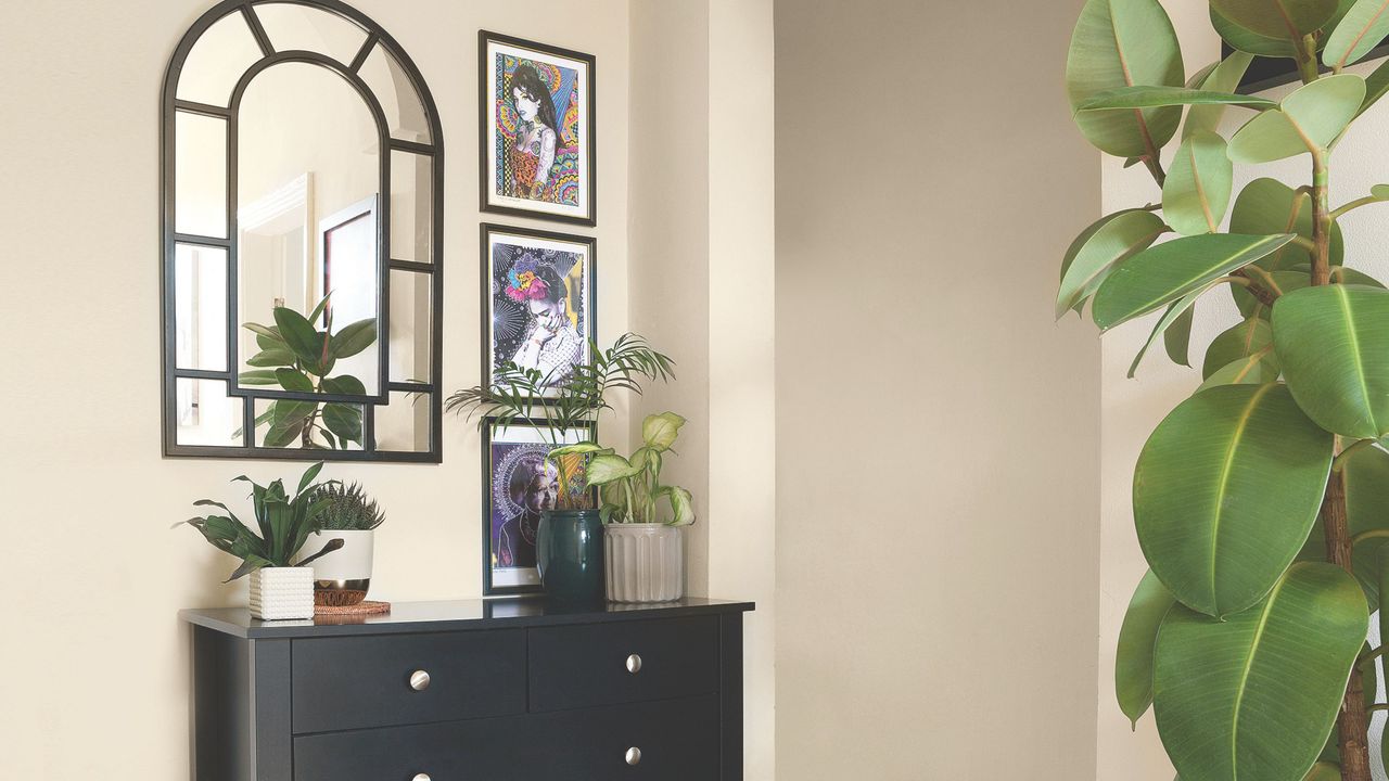 Houseplants including rubber plant and indoor palm plant on chest of drawers