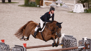 Gold medalist Ben Maher of Team Great Britain jumps his horse over a rail ahead of the equestrian live stream at Olympics 2024 