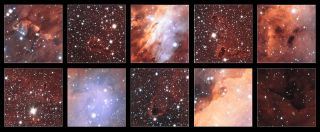 This collection of excerpts shows close-up views of some of the features in the glowing jumble of gas clouds making up a huge stellar nursery nicknamed the Prawn Nebula. Taken using the VLT Survey Telescope at ESO’s Paranal Observatory in Chile, this may be the sharpest picture taken of this object. Image released Sept. 18, 2013.