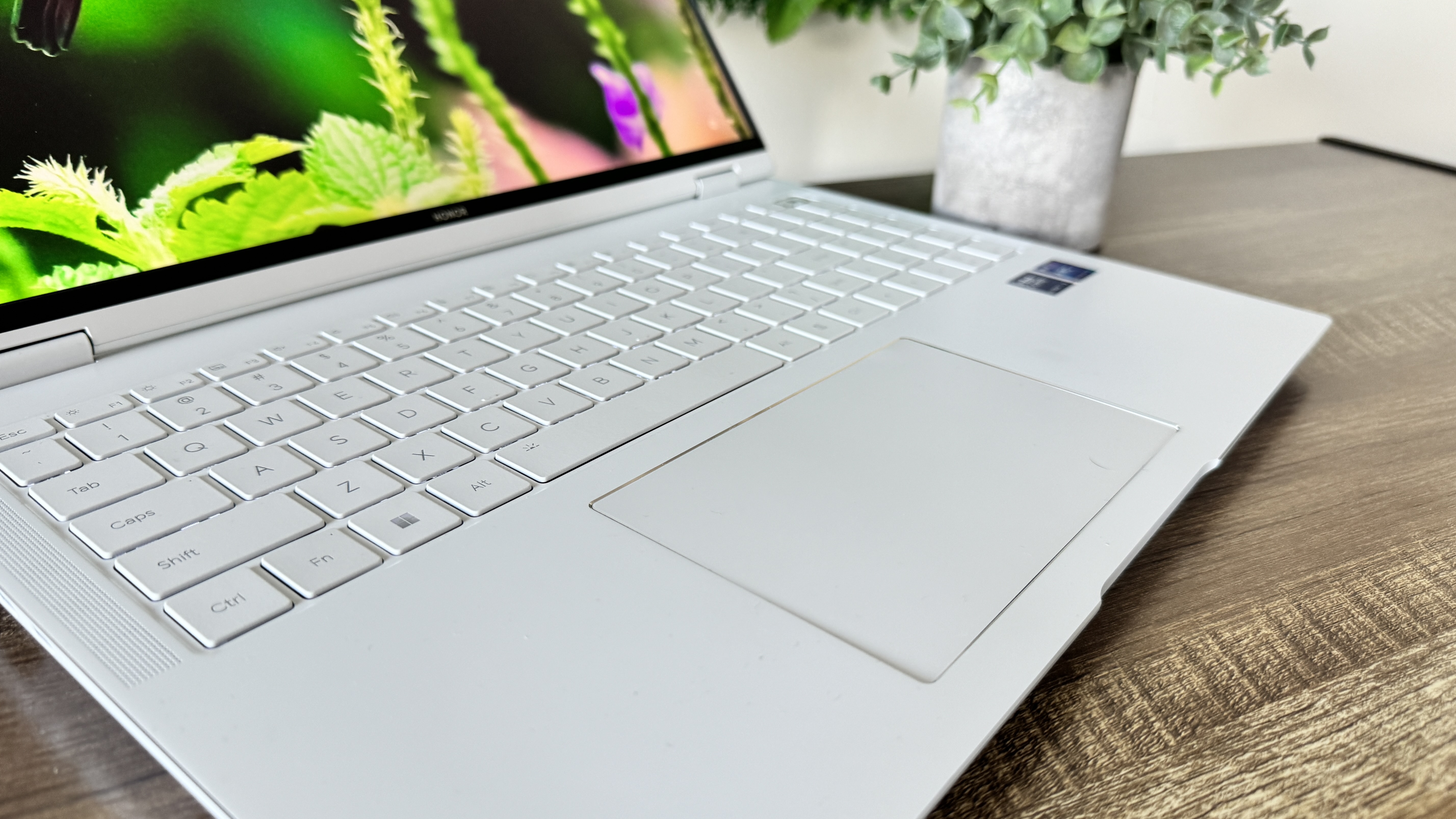 Honor MagicBook Pro 16 (2024)