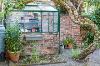 Greenhouse in the corner of the courtyard garden