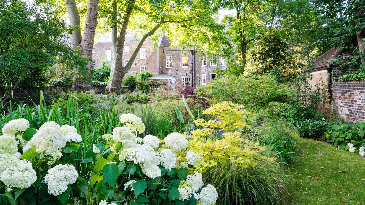 city garden of a georgian london house 