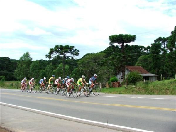 The yellow jersey group lead the way