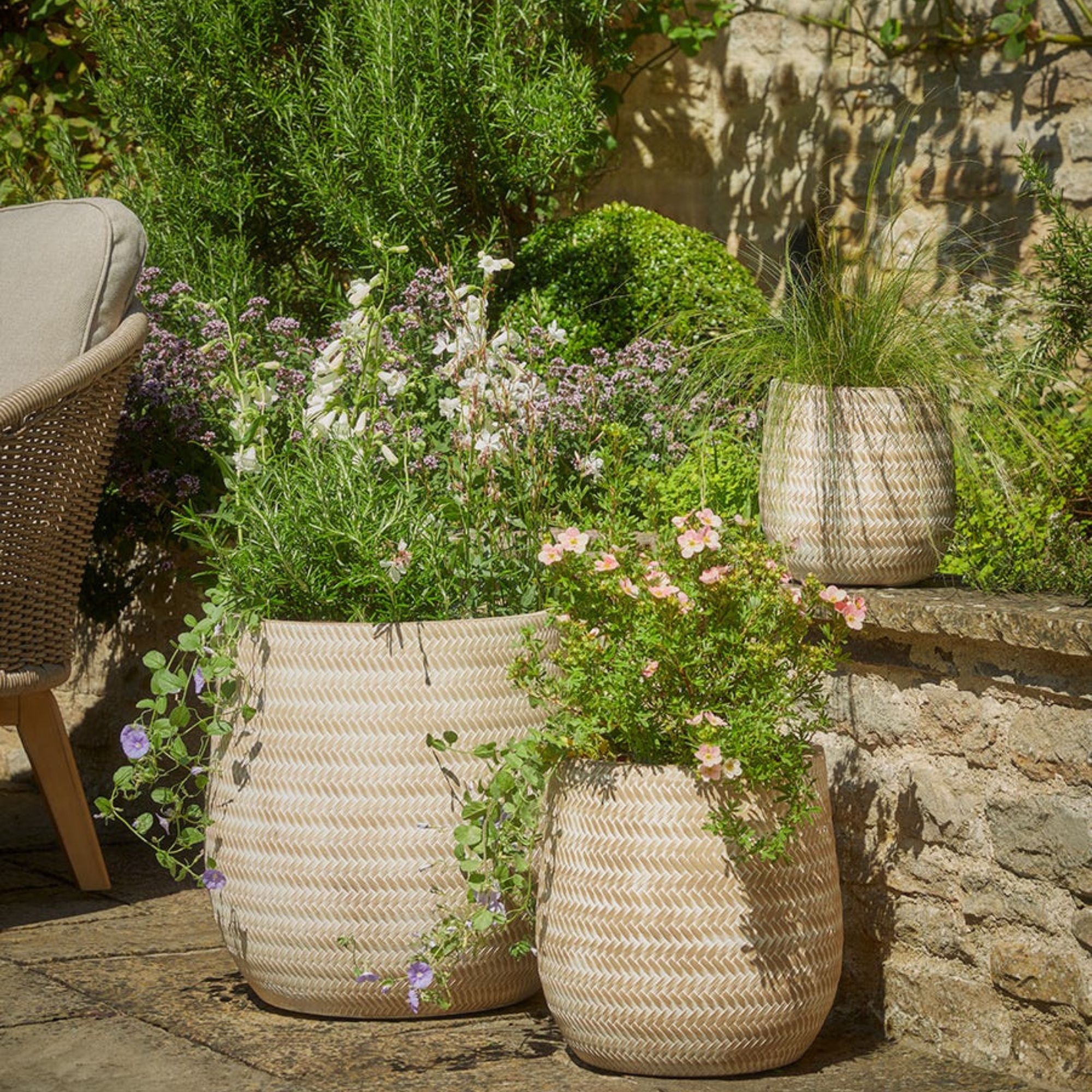 chevron planters Cox &amp;amp; Cox