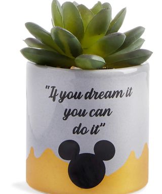 mickey mouse plant pot with quote