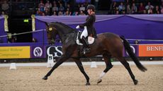BeckyMoody_Jagerbomb_HOYS_PN22_52108.jpg
