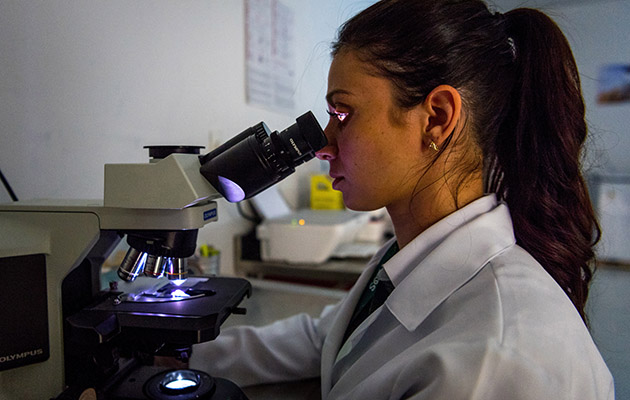 Ana Paula Marinho, by day equine reproduction specialist, and for the Rio Games a veterinary technician