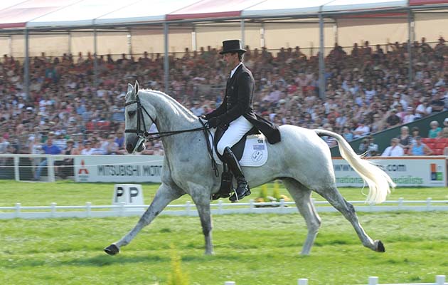Mark and NZB Land Vision take fourth after dressage