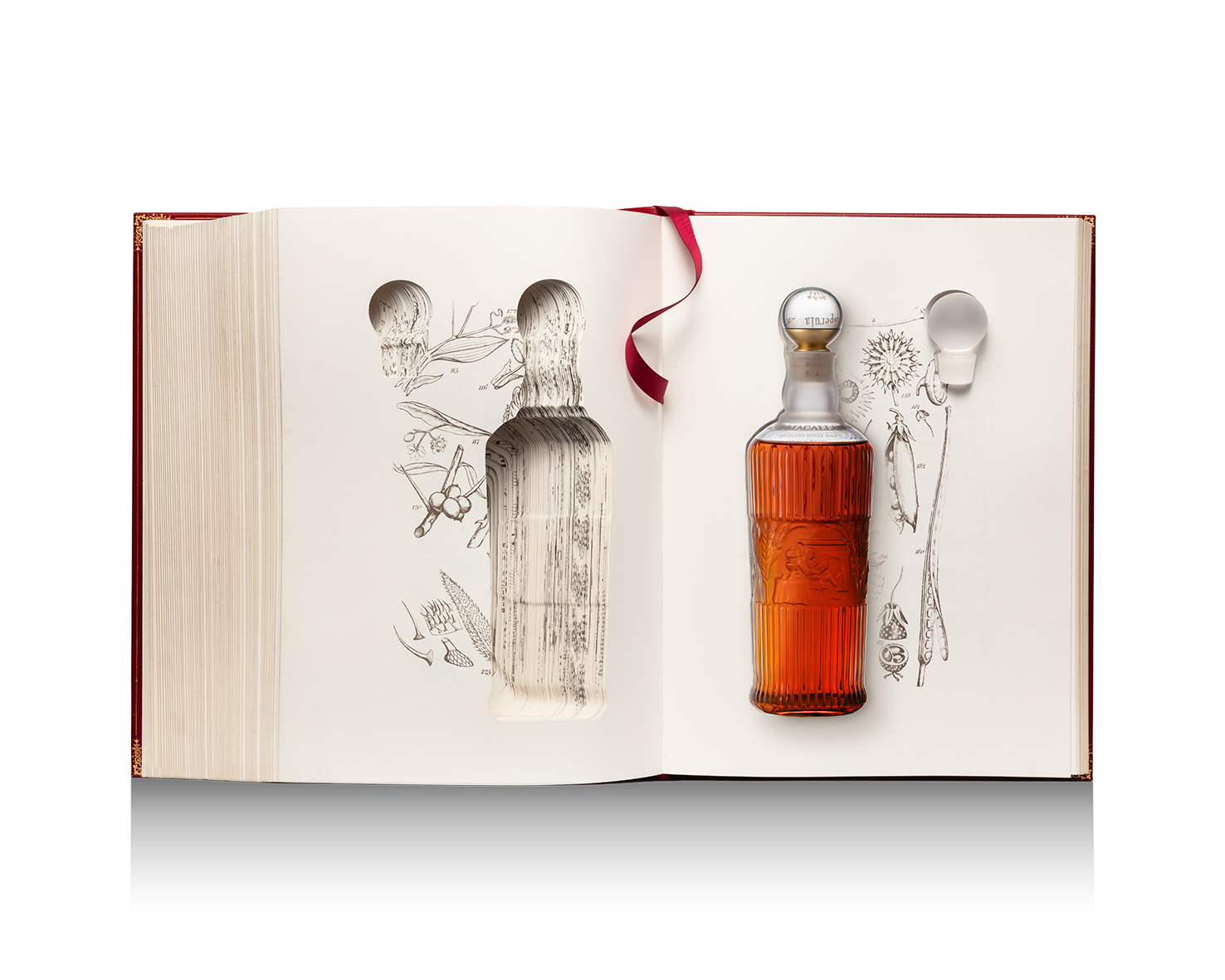 The Macallan celebrates 200th anniversary with ultra-rare $100,000 Scotch whisky