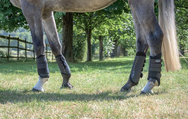WeatherBeeta Eventing Boots review