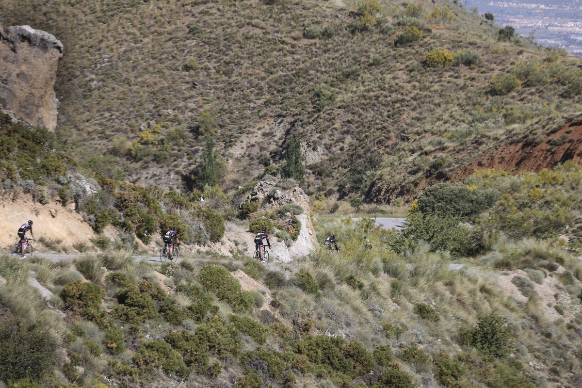 Before the Giant-Alpecin rider go up, they had to go down