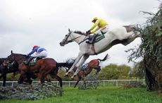 Neptune-Collonges4.jpg