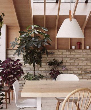 Scandinavian dining room with a pendant light above the table