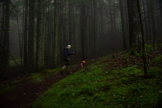 A man and dog running through the forest