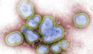 Influenza A Virus Cdc