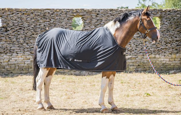 Bucas Power Cooler review
