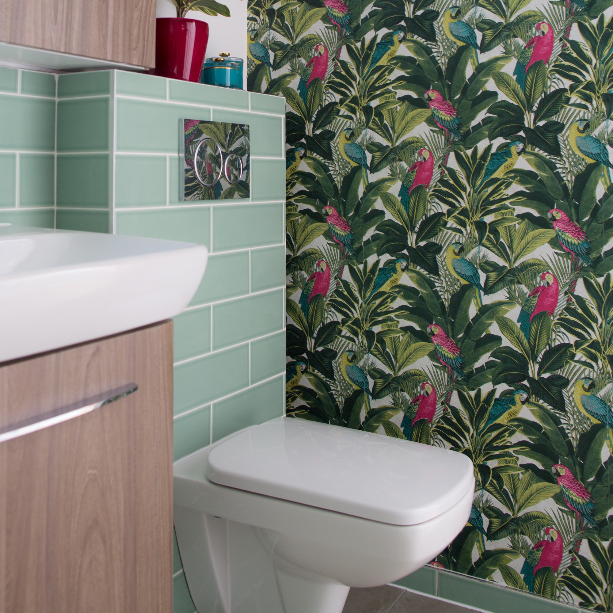 A cloakroom with a tropical wallpaper
