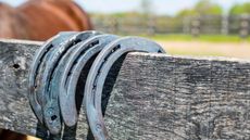 Alamy-G466FE_394148752_681549601.jpg