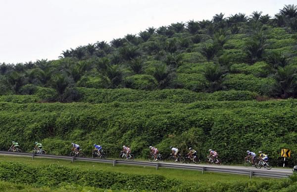 Riders pass by lush tropical vegetation.