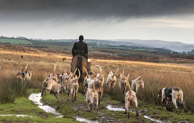 Dulverton West Hunt meet at Molland, Exmoor, Devon - 8th Novembe