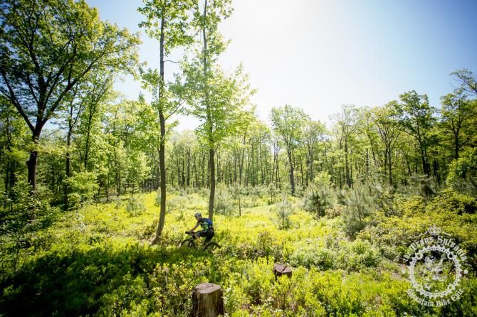 An open section of the course leads the riders back into the singletrack