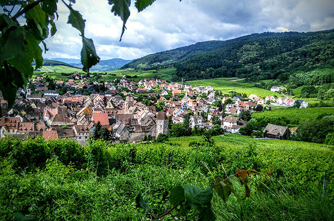 Riquewihr, alsace crus, jefford