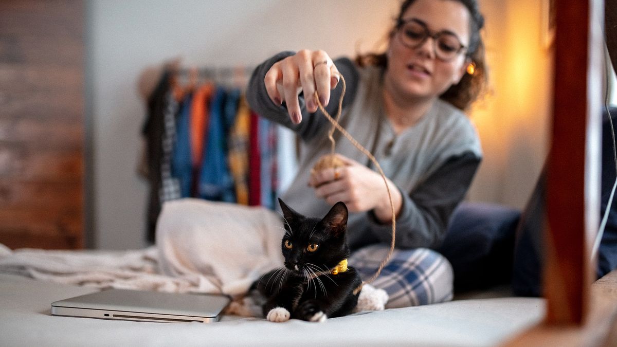 Woman playing with her cat