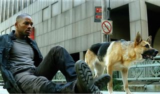 I Am Legend Will Smith and his dog look extremely worried on the ground