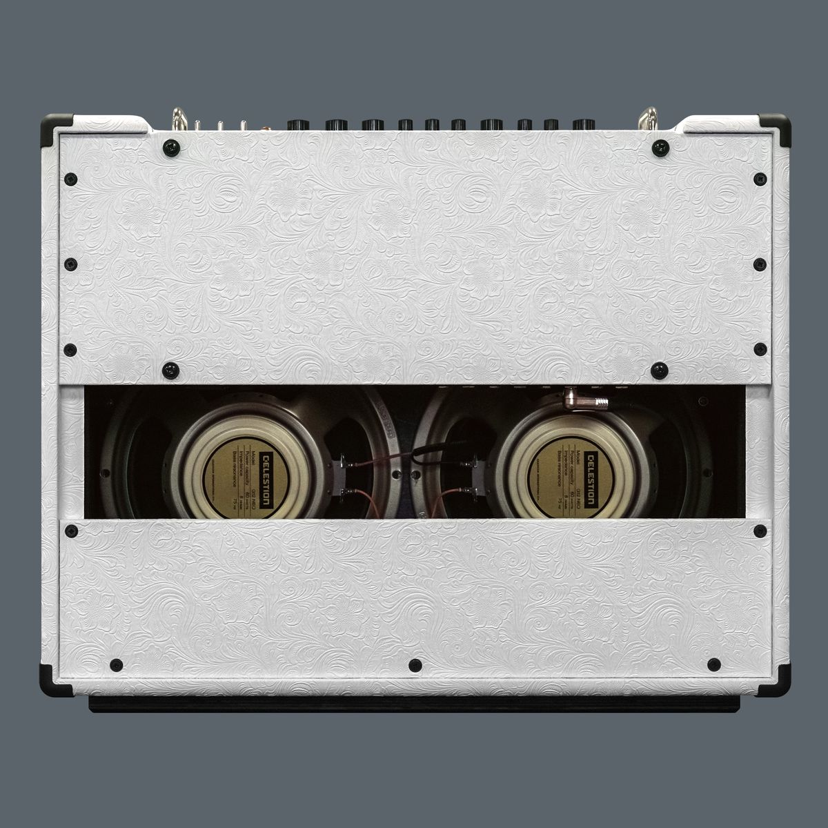 Orianthi's Oriverb amp from different angles
