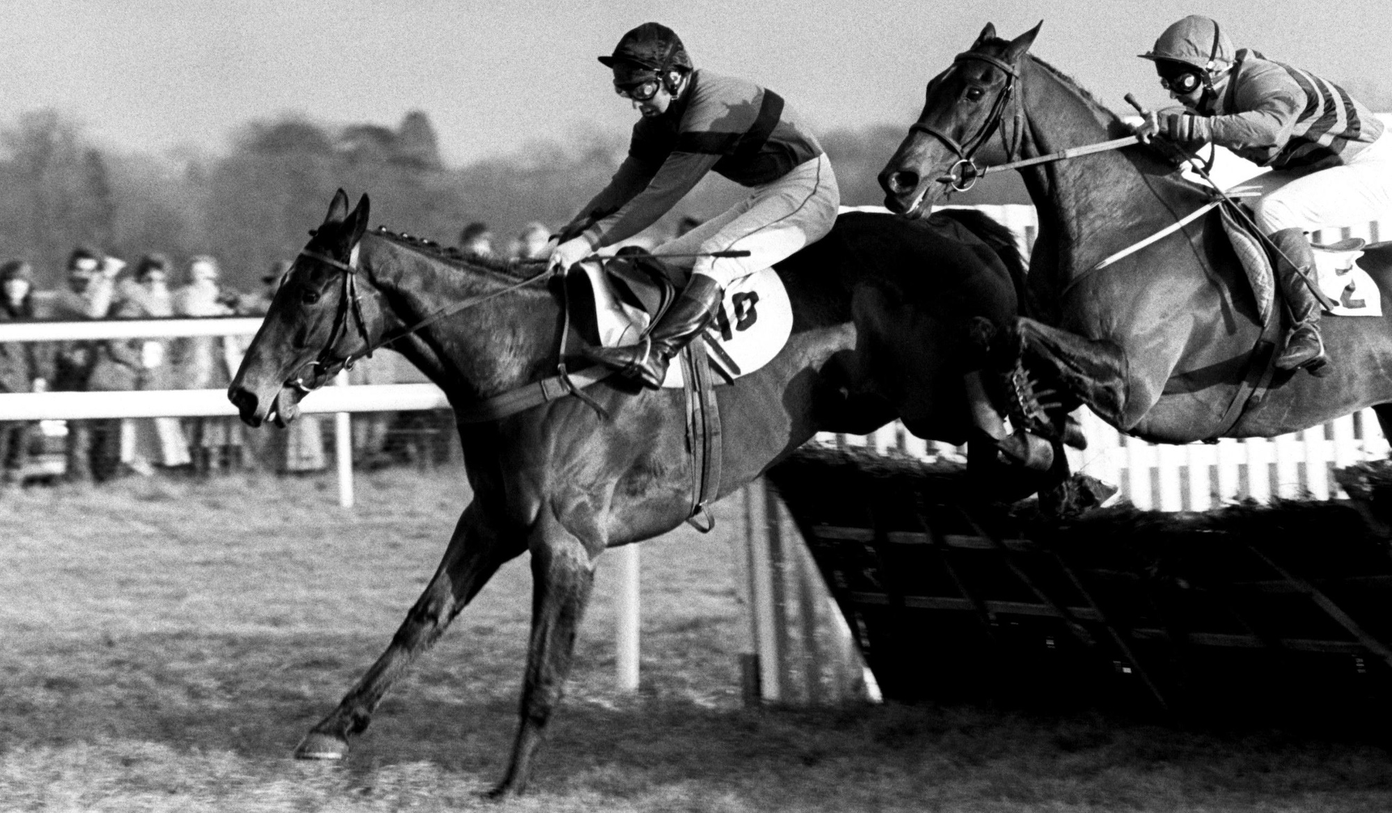 Dawn Run lands over a hurdle en route to victory at Kempton