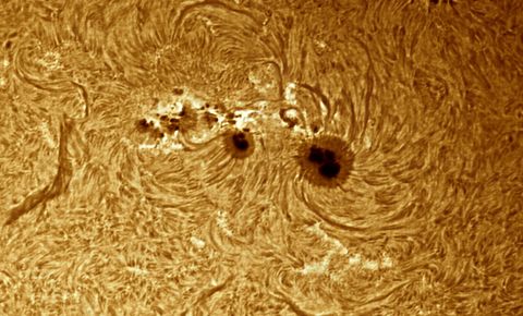 Monster Sunspot Dominates Sun Photos by Amateur Astronomer | Space