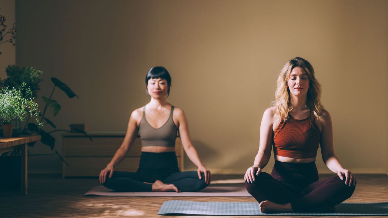 Two women doing mat Pilates at home