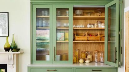 A small green pantry with a wooden back