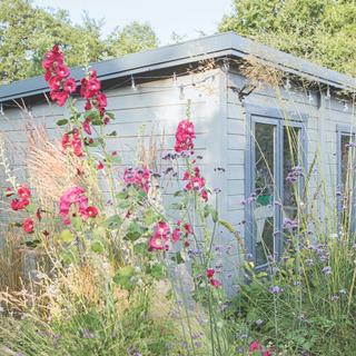 Exterior of a blue shed in a wildflower garden.