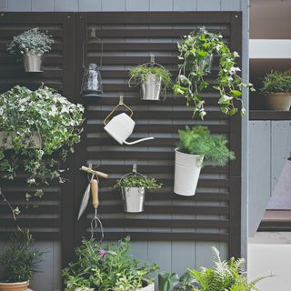 A garden trellis with hung planters and tools
