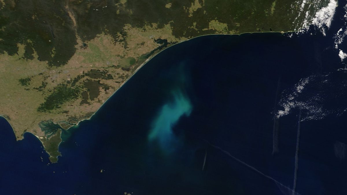 Australian wildfires release CO2 and cause vast algal blooms | Space