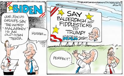 Political Cartoon U.S. Biden 2020 Campaign Old Terms