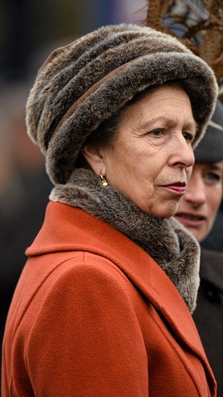 Princess Anne looks on at Cheltenham Racing Festival 2015