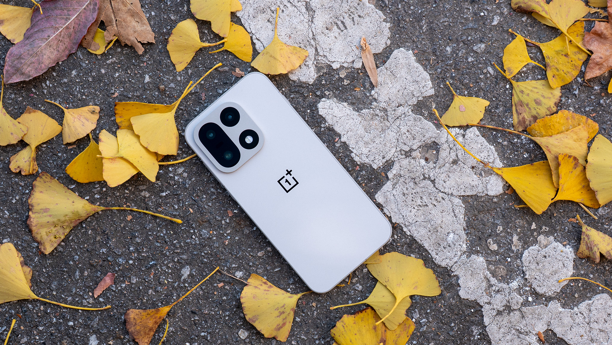 The back of the Sand Storm OnePlus 15