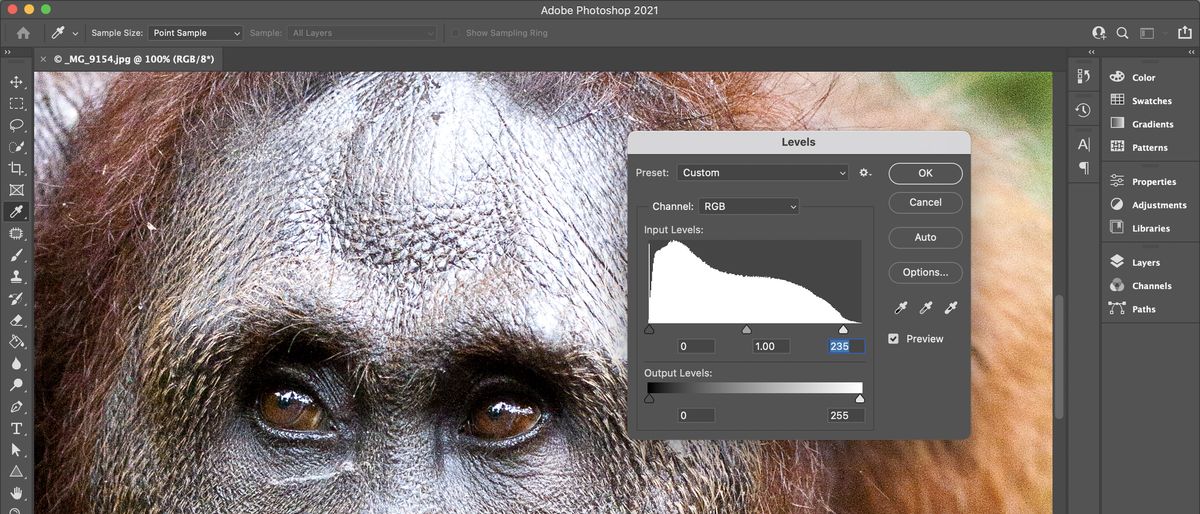 Adobe Photoshop CC 2021